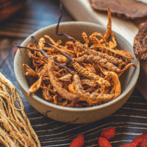 Bảo Quan Đông Trùng Hạ Thảo Như Thế Nào Để Được Lâu Dài Và Hiểu Quả